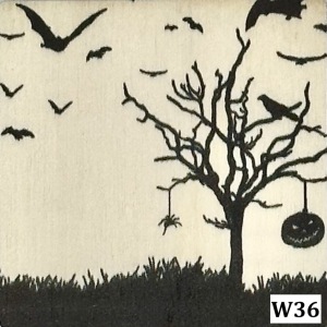 W36